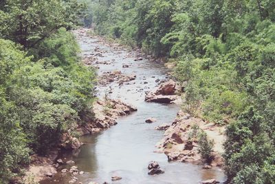 High angle view of river amidst trees in forest