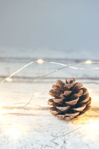 Close-up of pine cone on table against sea