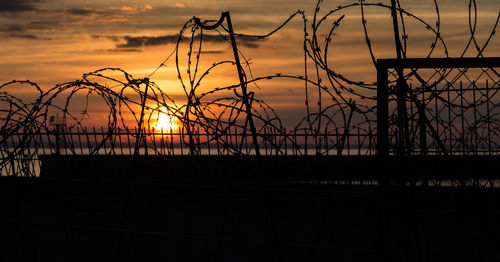 Close-up of silhouette plants against sunset sky