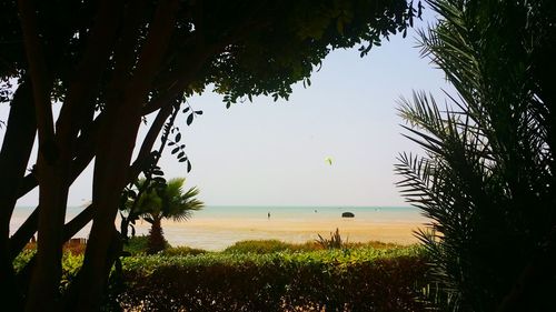 Scenic view of sea against clear sky