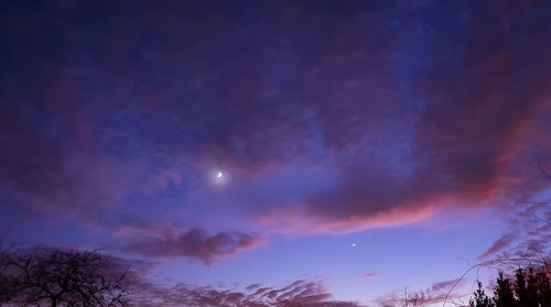 Low angle view of sky at night