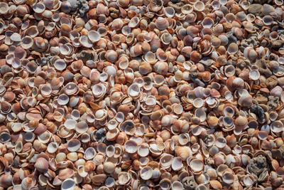 Full frame shot of pebbles on ground