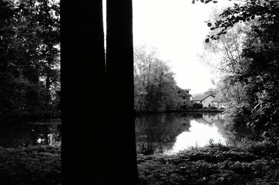 Reflection of trees in lake against sky