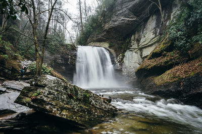 Scenic view of waterfall in forest