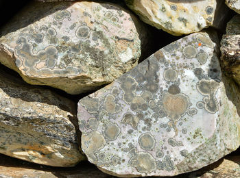 High angle view of stones