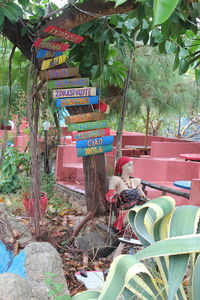 View of market stall