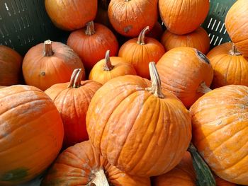 High angle view of pumpkins for sale at market stall