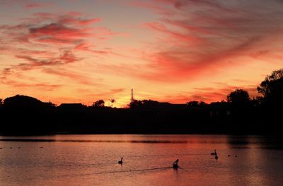 Silhouette birds on lake against orange sky