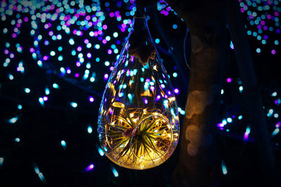 Close-up of illuminated christmas lights