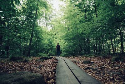 Woman walking amidst trees in forest