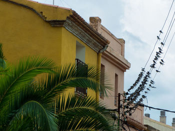 Low angle view of palm tree and building against sky