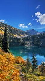 scenics - nature