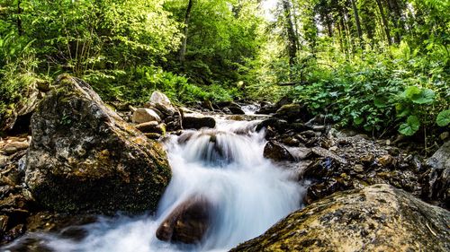 View of waterfall in forest