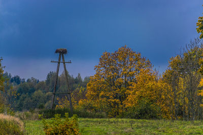 Low angle view of trees on field against clear sky