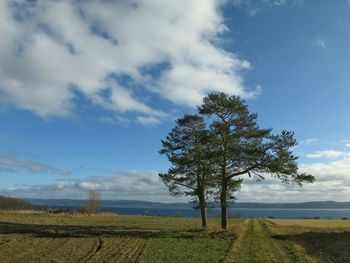 Scenic view of field against cloudy sky