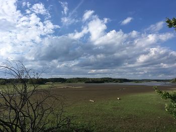 Scenic view of field against sky