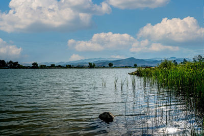 Scenic view of lake against sky