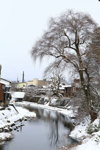 Bare tree and buildings against sky during winter