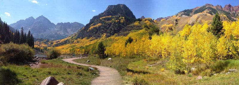 Panoramic view of road amidst trees against sky