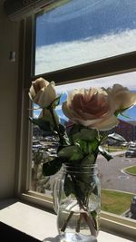 Close-up of vase on window sill