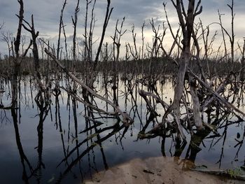 Scenic view of lake against sky