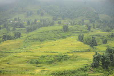 High angle view of green landscape