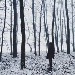 Bare trees on snow covered landscape