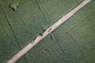 High angle view of road