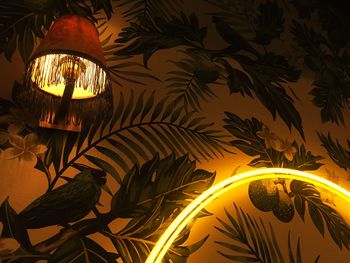 Illuminated palm trees at night