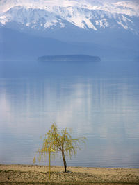 Scenic view of lake against sky during winter