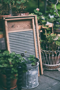 Potted plants on chair in yard