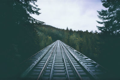 Railroad track amidst trees against sky