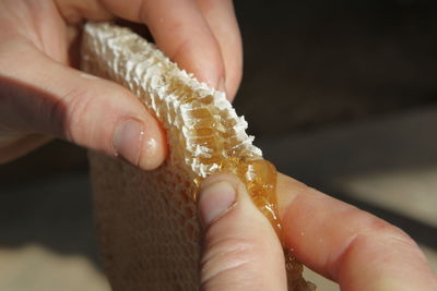 Cropped hands holding honeycomb