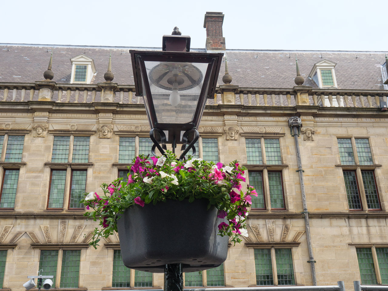 LOW ANGLE VIEW OF POTTED PLANT ON BUILDING