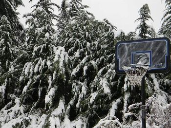 Low angle view of icicles on snow covered land