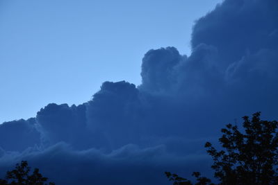 Low angle view of trees against blue sky