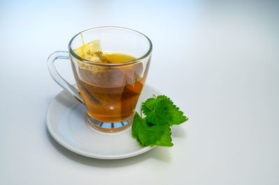 Nettle infusion in transparent cup, a sachet in water, a white saucer  and nettle leaves. 