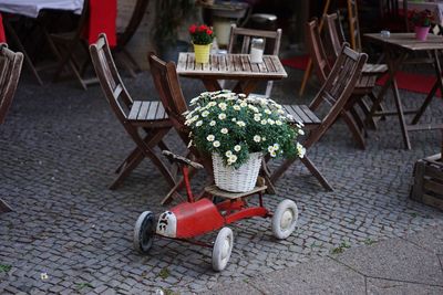 Potted plant on toy car against chairs at cafe