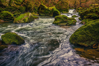 River flowing through rocks in forest