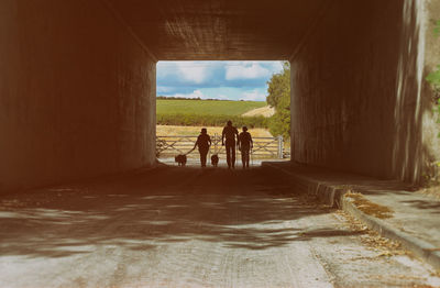 Rear view of people walking on road