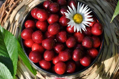 High angle view of strawberries in basket