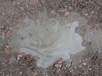 High angle view of land on beach