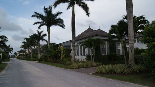 Road by palm trees and buildings against sky