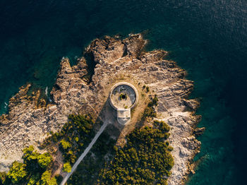 High angle view of plants at seaside