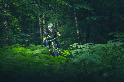 Person riding bicycle in forest
