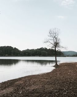 Scenic view of lake against clear sky