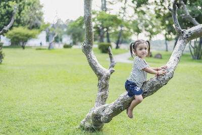 Full length of boy playing with arms outstretched on grass
