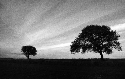 Trees on field against cloudy sky