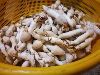 High angle view of mushrooms in basket