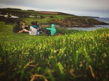 People sitting on grassy field